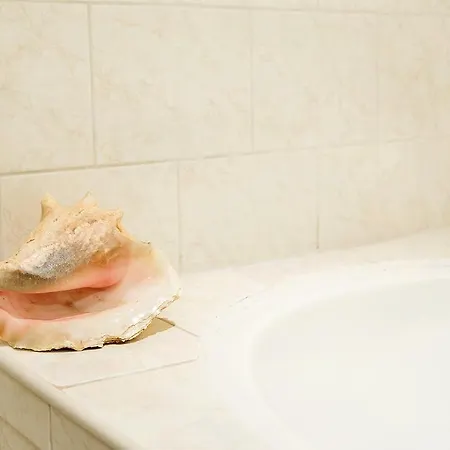 Amstel View Canal House